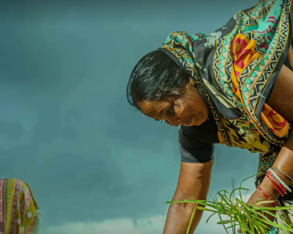 Bageshwar Millet Factory's Journey